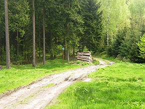 Ringstock
